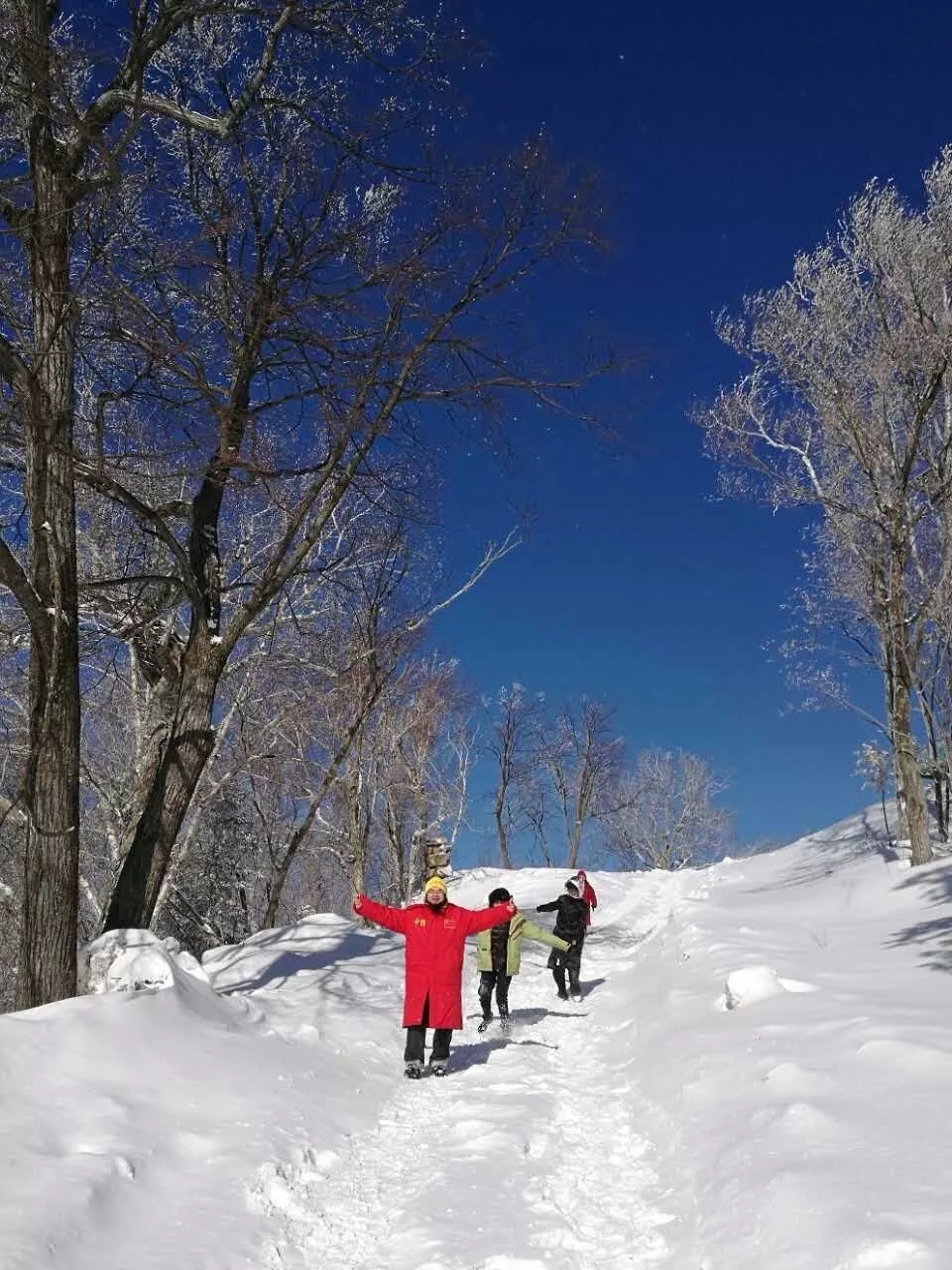 雪景山水吴大恺